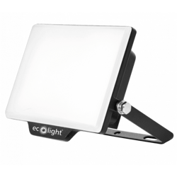 Proiector NL-2 NL-2 30W 6500K IP65