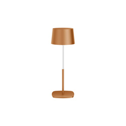 Lampa de masă BELI 0,5W LED mocha mousse cu acumulator 600mAh IP54 culoare caldă 50lm înălțime reglabilă 13-21 cm EDO777722 EDO Solutions