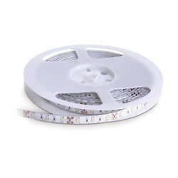 Bandă cu LED-uri TRAMO 300 diode 2835 IP65 rece 5m Kobi