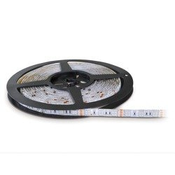 LED TRAMO 300 LED-uri 5050 IP65 RGB 5M Kobi