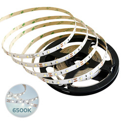 Bandă LED NASTRO SMD 4,8W/m 60LED/m 6500K reglabilă IP20 12V DC 5m EDO777701 EDO Solutions