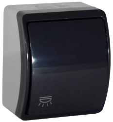 Buton lumină rezistent la stropire, gri-antracit, IP44 KOALA 156-09 ViPlast